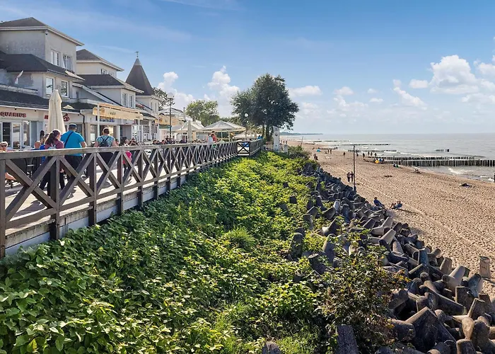 Amazing In With Wifi